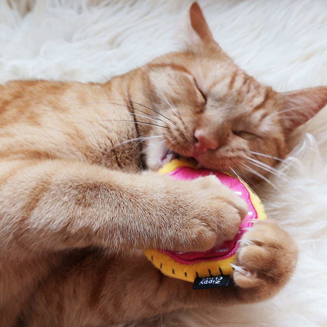 Twee donuts met catnip - ZippyClaws