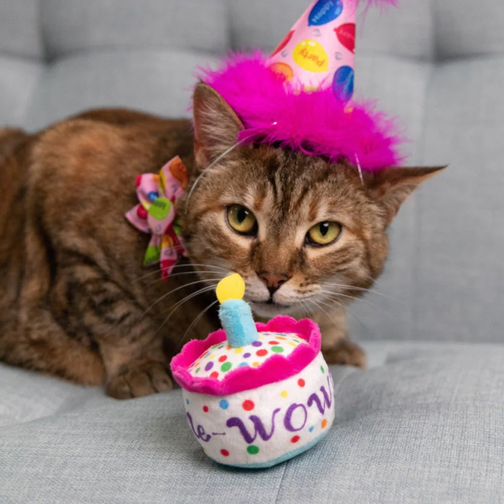 Mewow cake met catnip - Kittybelles