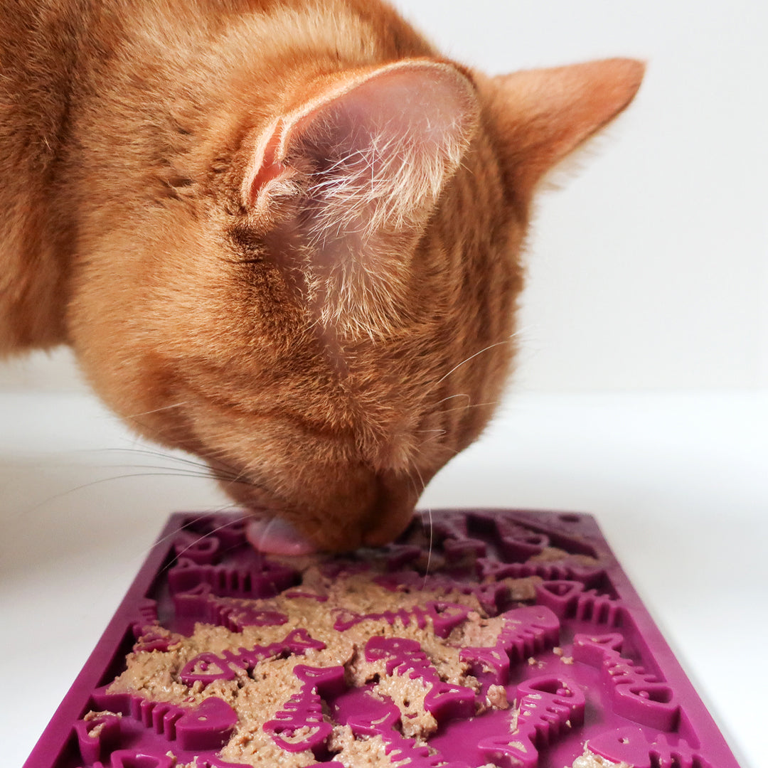 Likmat Fishy - Sodapup