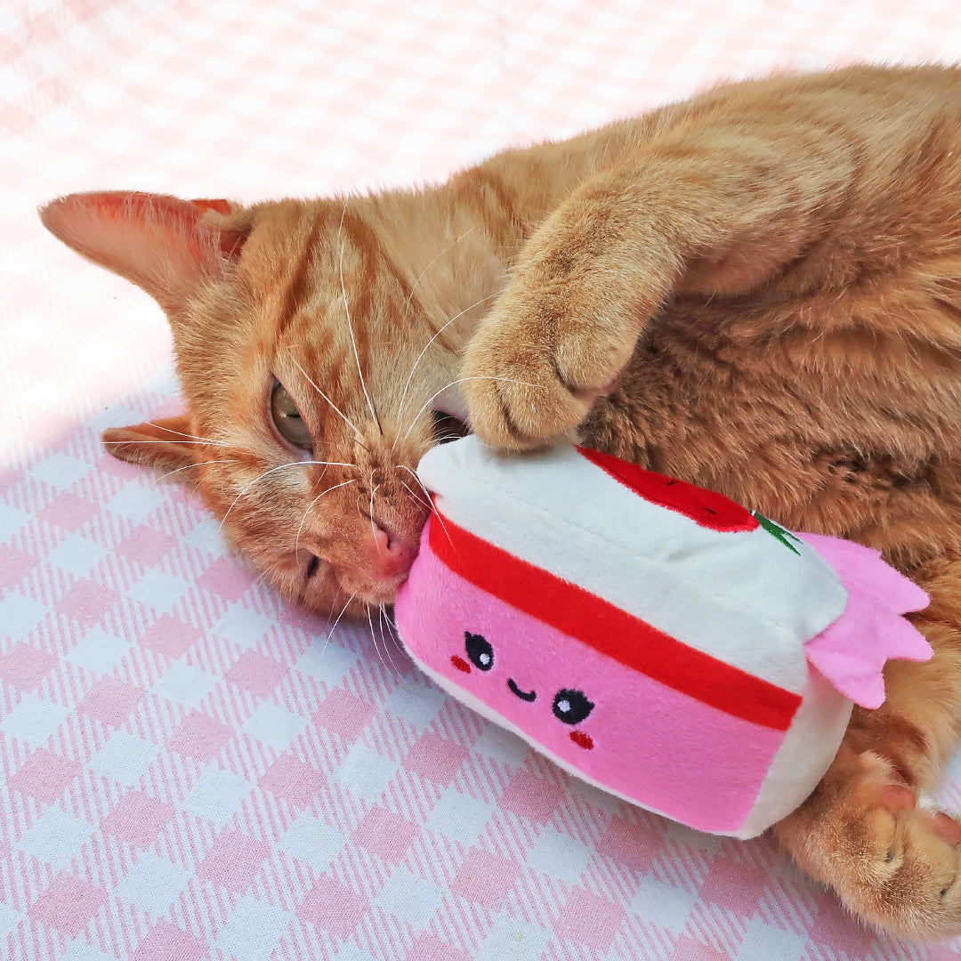 Strawberry cake met catnip - Hugsmart Meow Buddies