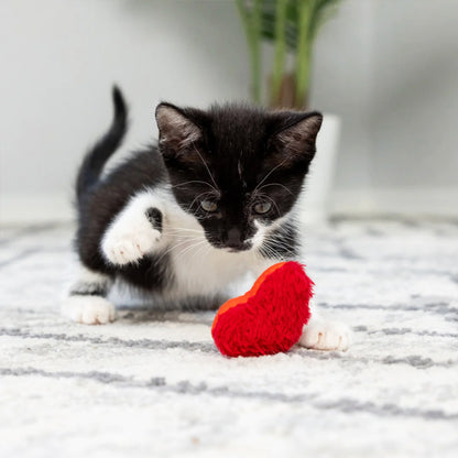 Chocolade aardbei en hartje met catnip - Kittybelles