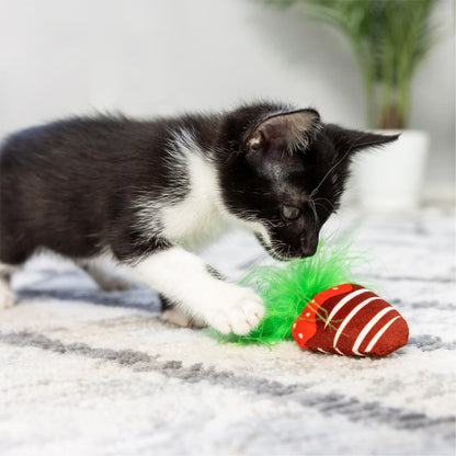 Chocolade aardbei en hartje met catnip - Kittybelles